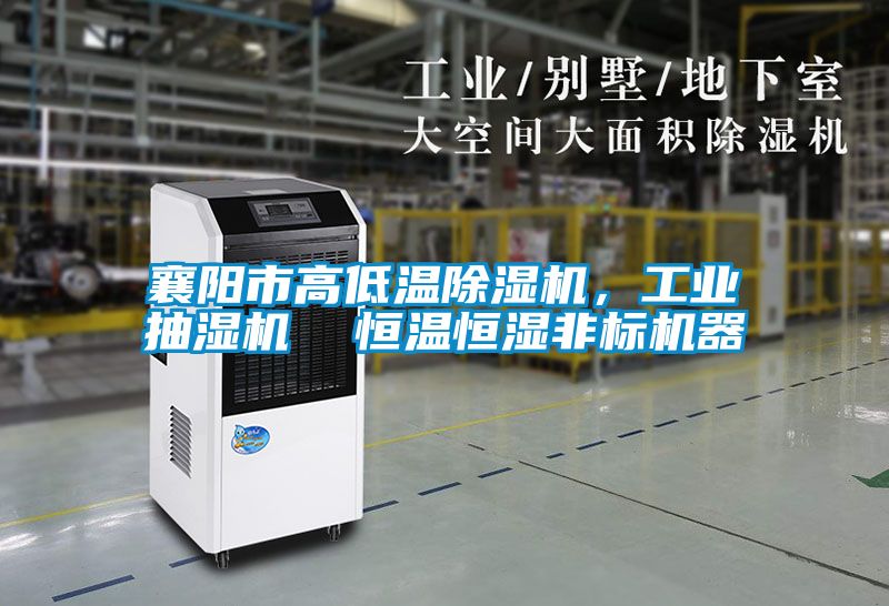 襄阳市高低温麻豆视频黄网站，工业抽湿机  恒温恒湿非标机器