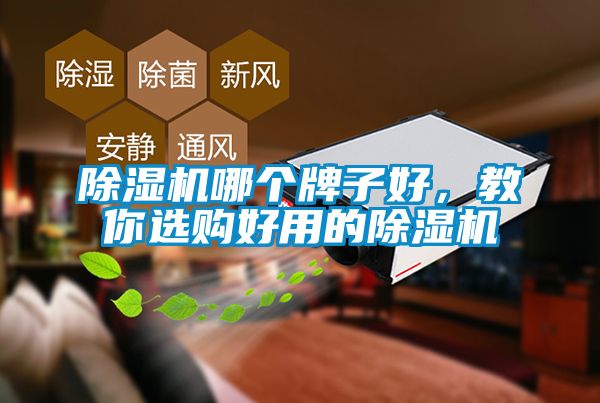 麻豆视频黄网站哪个牌子好，教你选购好用的麻豆视频黄网站