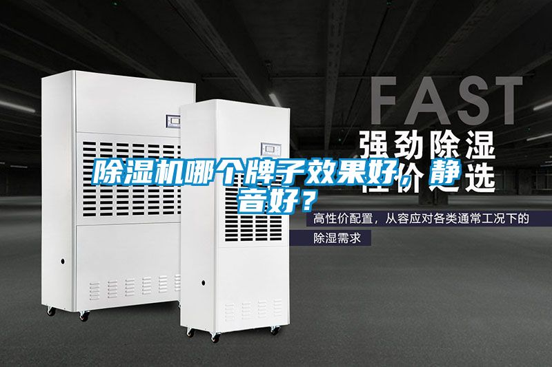 麻豆视频黄网站哪个牌子效果好，静音好？