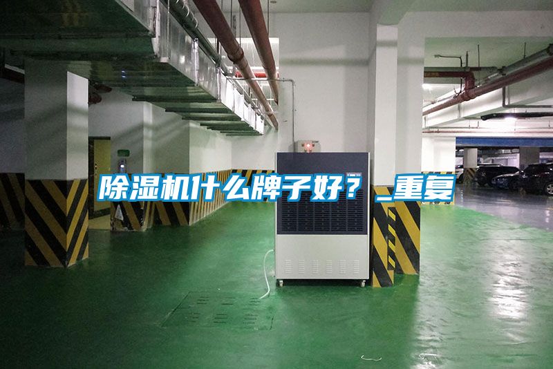 麻豆视频黄网站什么牌子好？_重复