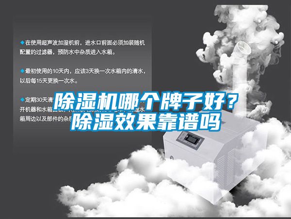 麻豆视频黄网站哪个牌子好？除湿效果靠谱吗
