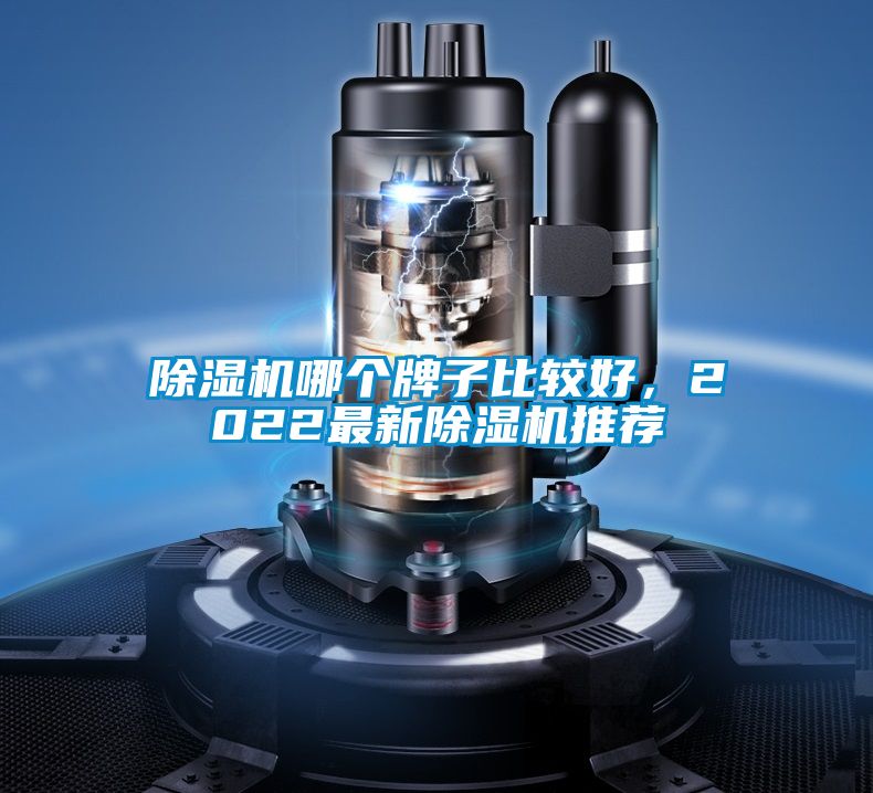 麻豆视频黄网站哪个牌子比较好，2022最新麻豆视频黄网站推荐
