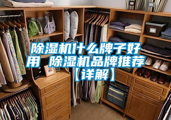 麻豆视频黄网站什么牌子好用 麻豆视频黄网站品牌推荐【详解】