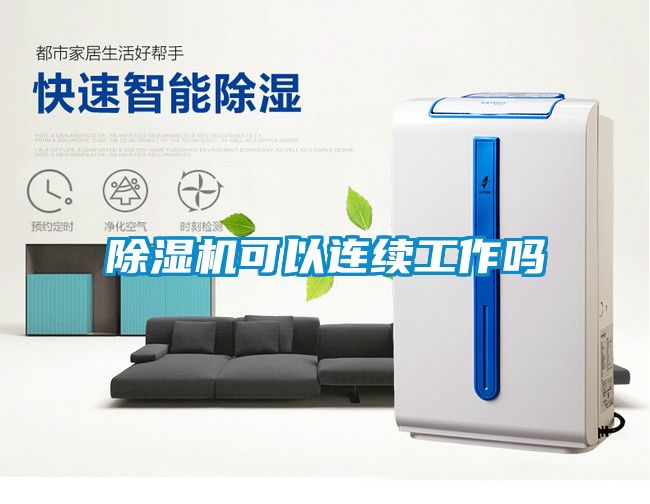 麻豆视频黄网站可以连续工作吗