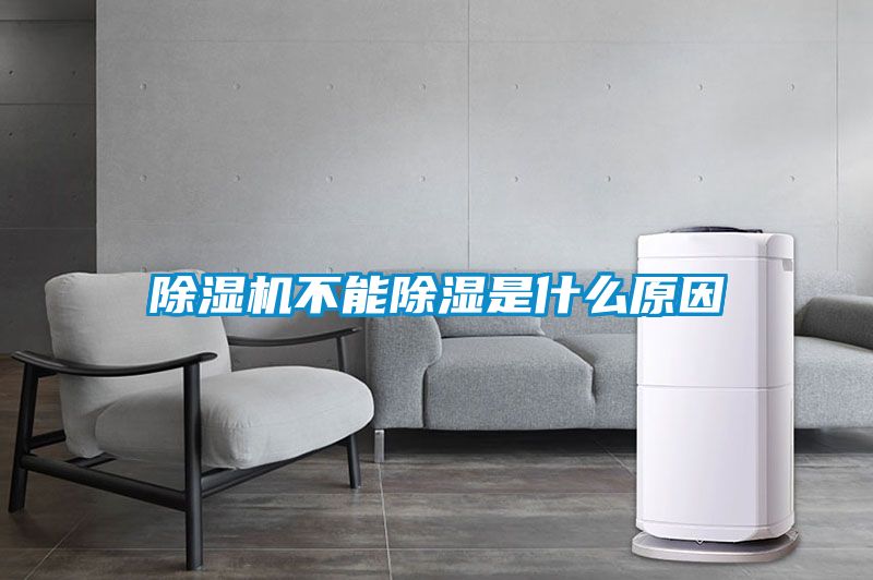 麻豆视频黄网站不能除湿是什么原因