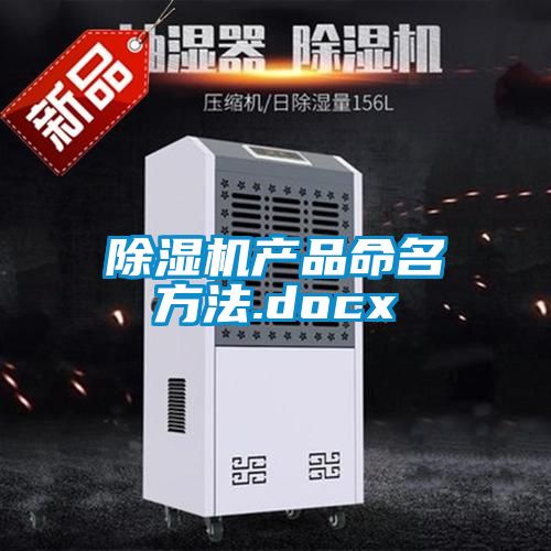 麻豆视频黄网站产品命名方法.docx