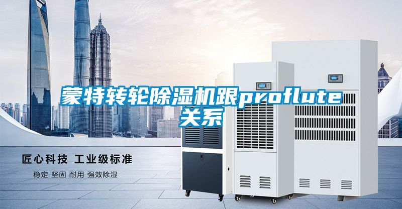 蒙特转轮麻豆视频黄网站跟proflute关系