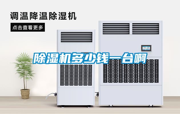 麻豆视频黄网站多少钱一台啊