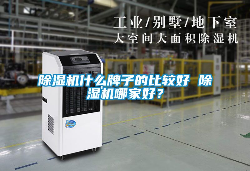 麻豆视频黄网站什么牌子的比较好 麻豆视频黄网站哪家好？