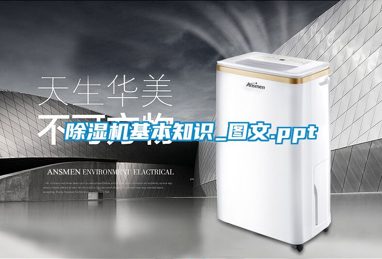 麻豆视频黄网站基本知识_图文.ppt
