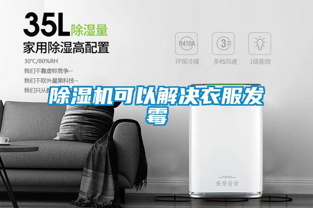麻豆视频黄网站可以解决衣服发霉