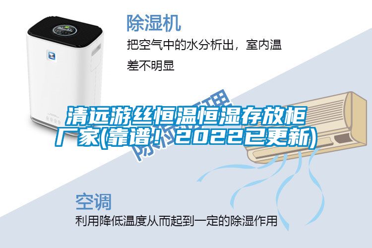 清远游丝恒温恒湿存放柜厂家(靠谱！2022已更新)