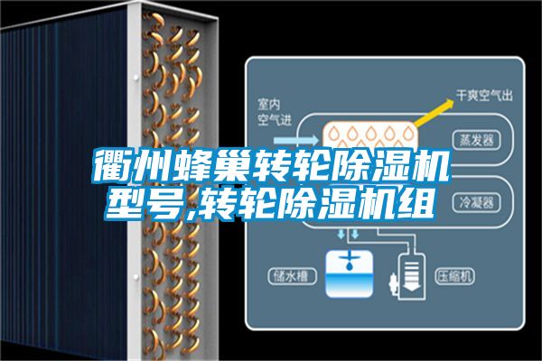 衢州蜂巢转轮麻豆视频黄网站型号,转轮麻豆视频黄网站组