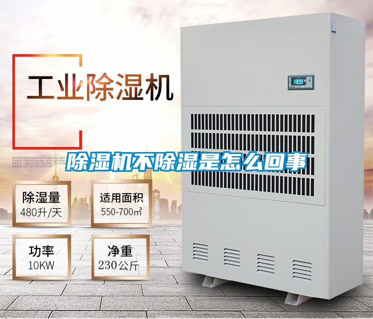 麻豆视频黄网站不除湿是怎么回事