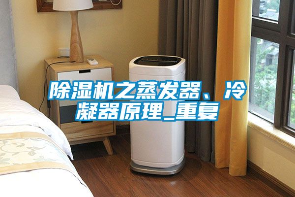 麻豆视频黄网站之蒸发器、冷凝器原理_重复