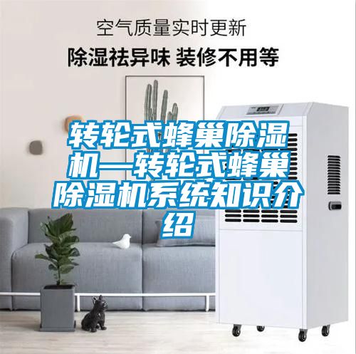 转轮式蜂巢麻豆视频黄网站—转轮式蜂巢麻豆视频黄网站系统知识介绍