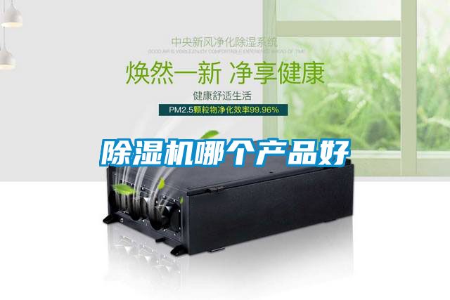 麻豆视频黄网站哪个产品好