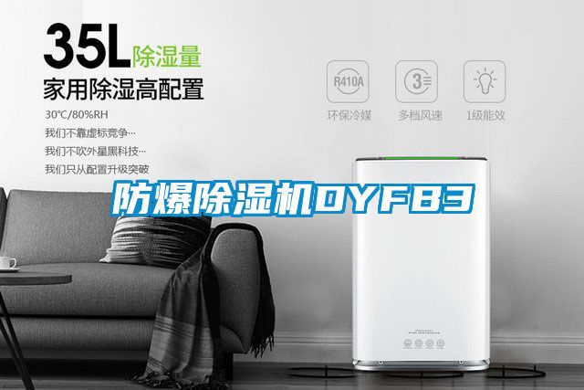 防爆麻豆视频黄网站DYFB3