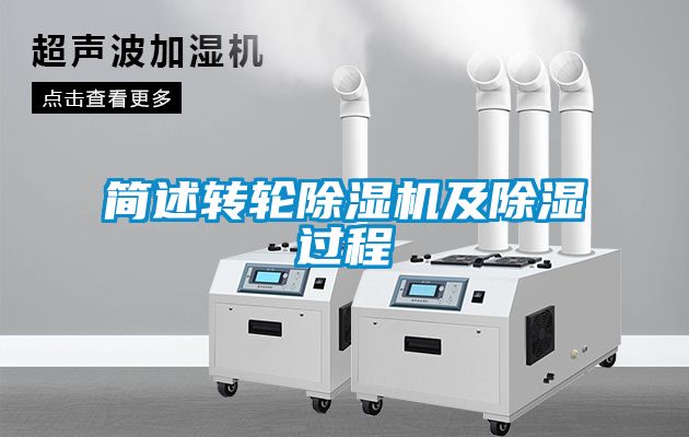 简述转轮麻豆视频黄网站及除湿过程