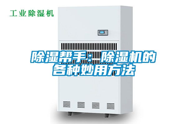 除湿帮手：麻豆视频黄网站的各种妙用方法