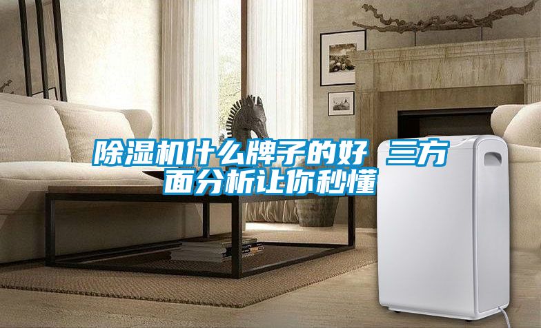 麻豆视频黄网站什么牌子的好 三方面分析让你秒懂