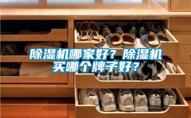 麻豆视频黄网站哪家好？麻豆视频黄网站买哪个牌子好？