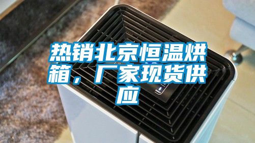 热销北京恒温烘箱，厂家现货供应