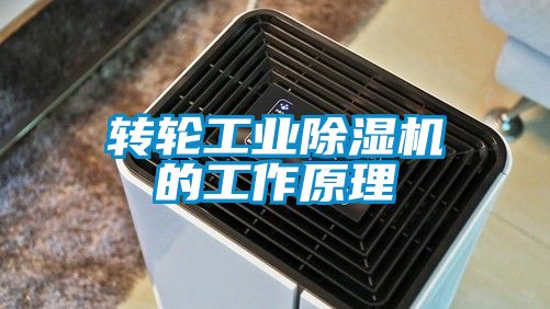 转轮工业麻豆视频黄网站的工作原理