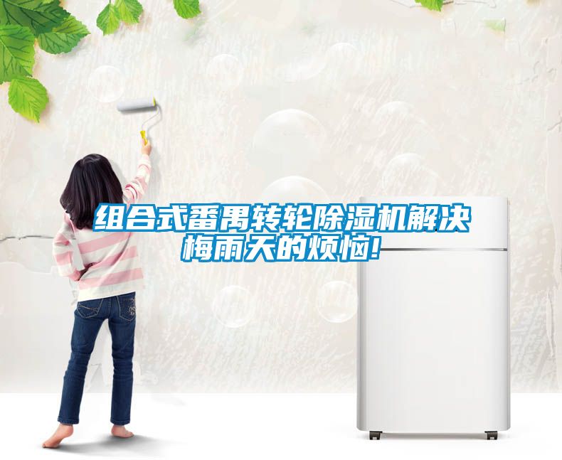 组合式番禺转轮麻豆视频黄网站解决梅雨天的烦恼!