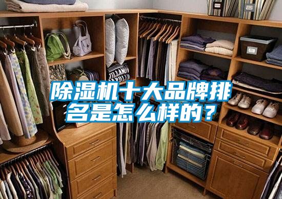 麻豆视频黄网站十大品牌排名是怎么样的？