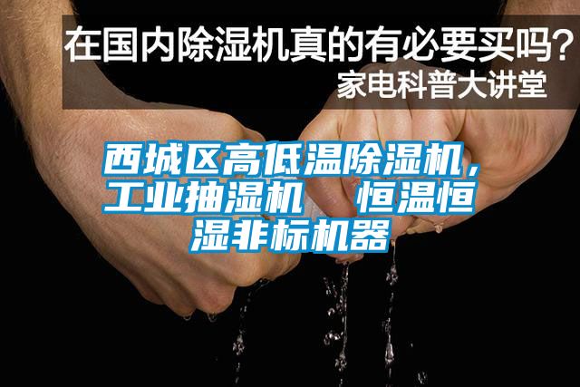 西城区高低温麻豆视频黄网站，工业抽湿机  恒温恒湿非标机器