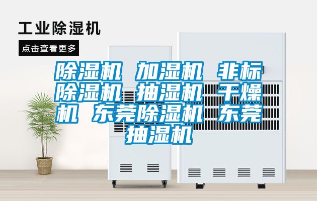 麻豆视频黄网站 加湿机 非标麻豆视频黄网站 抽湿机 干燥机 东莞麻豆视频黄网站 东莞抽湿机