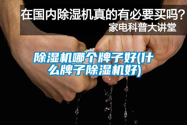 麻豆视频黄网站哪个牌子好(什么牌子麻豆视频黄网站好)