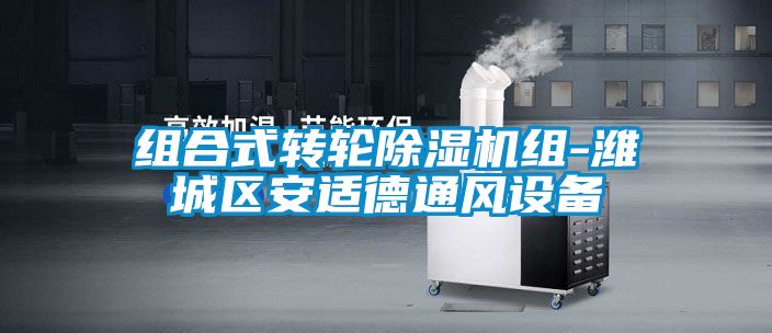 组合式转轮麻豆视频黄网站组-潍城区安适德通风设备