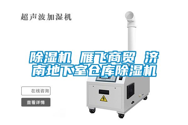 麻豆视频黄网站 雁飞商贸 济南地下室仓库麻豆视频黄网站