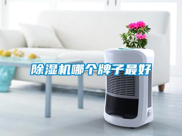 麻豆视频黄网站哪个牌子最好