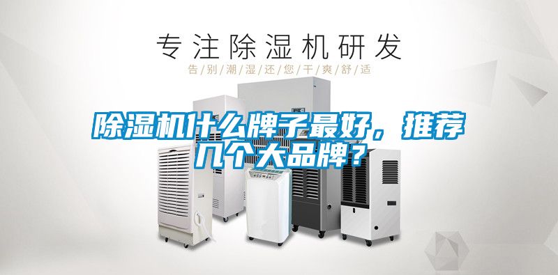 麻豆视频黄网站什么牌子最好，推荐几个大品牌？