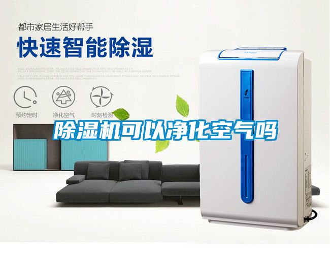 麻豆视频黄网站可以净化空气吗
