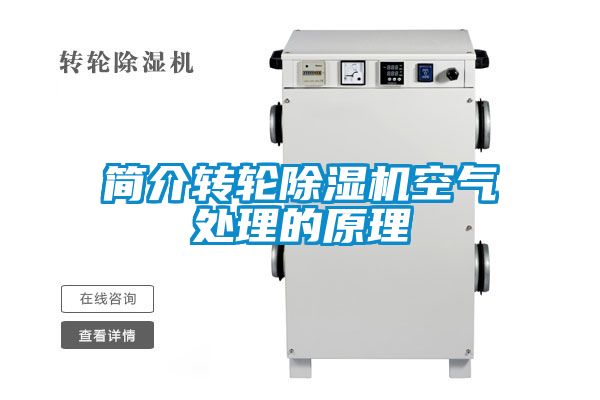 简介转轮麻豆视频黄网站空气处理的原理