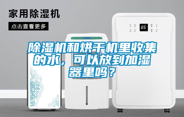 麻豆视频黄网站和烘干机里收集的水，可以放到加湿器里吗？