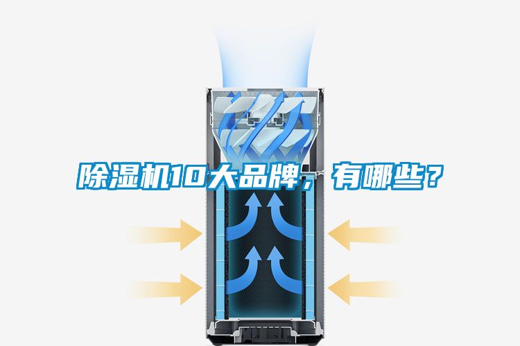 麻豆视频黄网站10大品牌，有哪些？