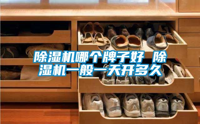 麻豆视频黄网站哪个牌子好 麻豆视频黄网站一般一天开多久