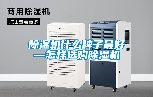 麻豆视频黄网站什么牌子最好—怎样选购麻豆视频黄网站