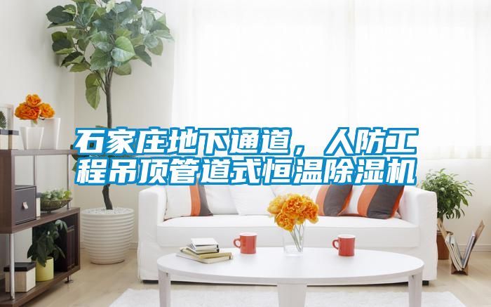 石家庄地下通道，人防工程吊顶管道式恒温麻豆视频黄网站