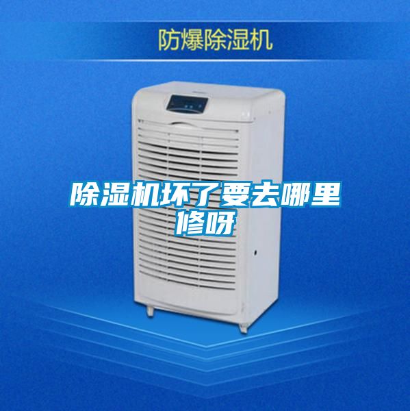 麻豆视频黄网站坏了要去哪里修呀