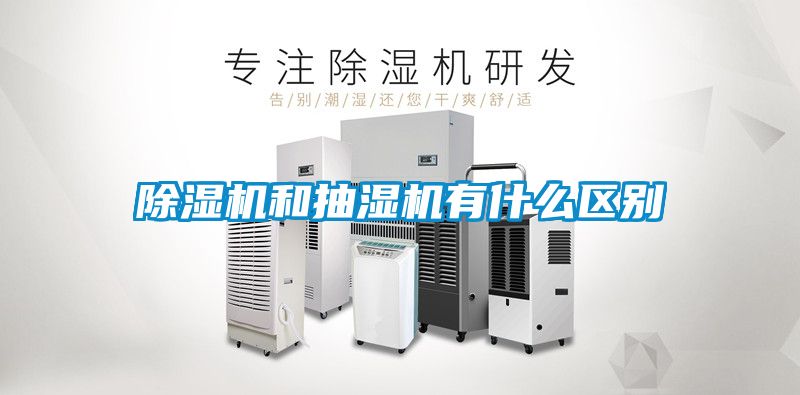 麻豆视频黄网站和抽湿机有什么区别