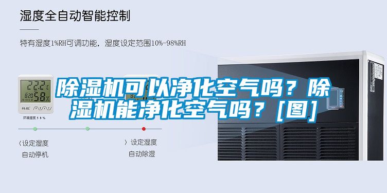 麻豆视频黄网站可以净化空气吗？麻豆视频黄网站能净化空气吗？[图]