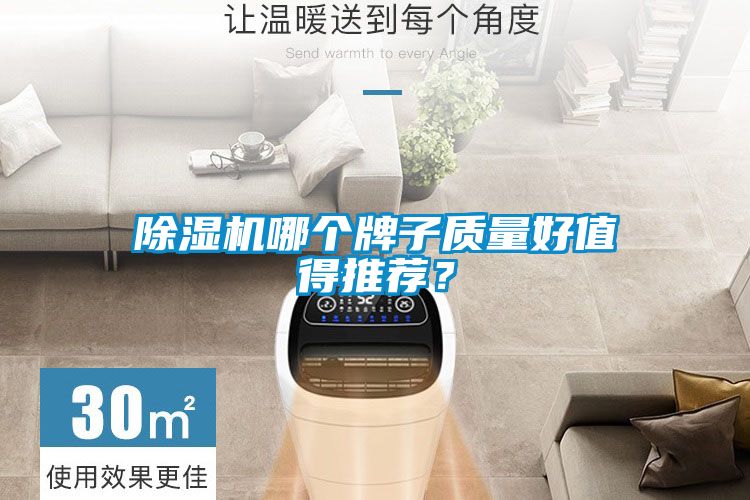 麻豆视频黄网站哪个牌子质量好值得推荐？