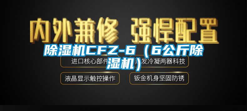麻豆视频黄网站CFZ-6（6公斤麻豆视频黄网站）