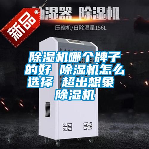 麻豆视频黄网站哪个牌子的好 麻豆视频黄网站怎么选择 超出想象 麻豆视频黄网站